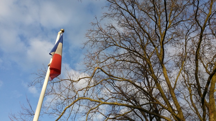 A loose branch hangs high above the flag in the middle of the park. The flag pole needs a little repair too.